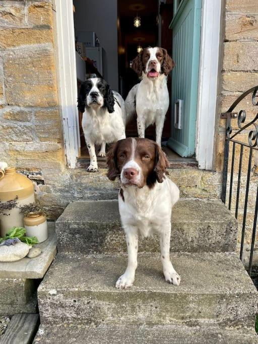Spaniel Cottage With Views Of Ham Hill, Stoke Sub Hamdon Martock Eksteriør billede